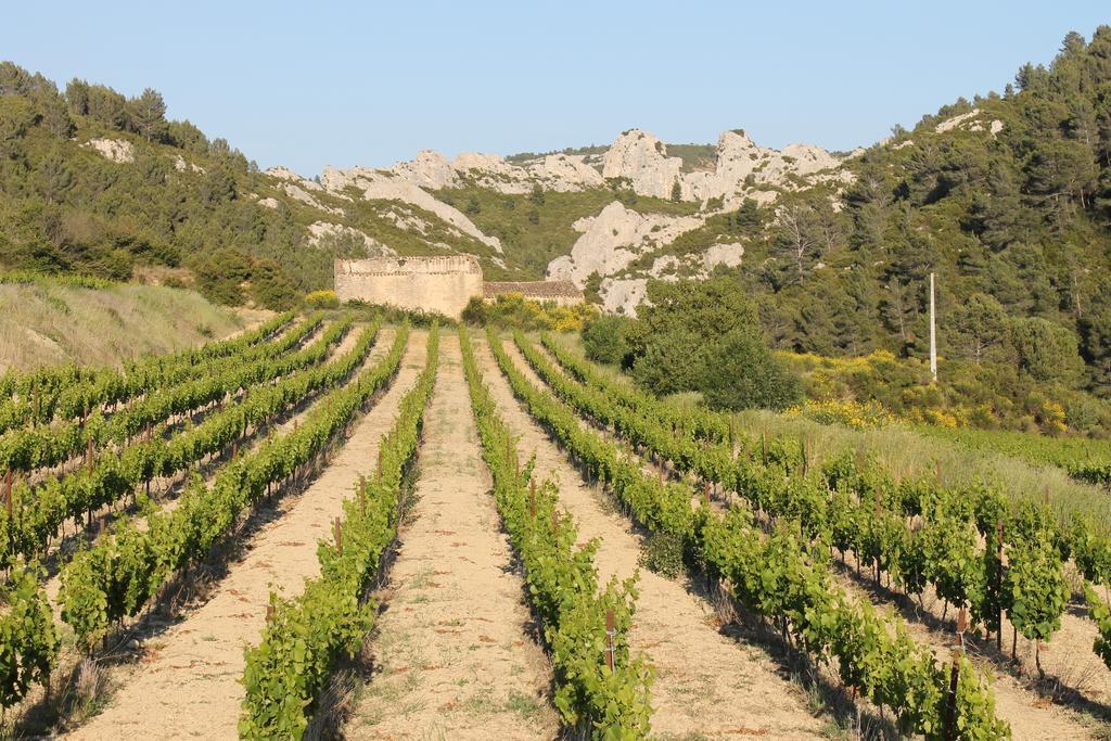 La Montagute Thezan-des-Corbieres Exterior foto