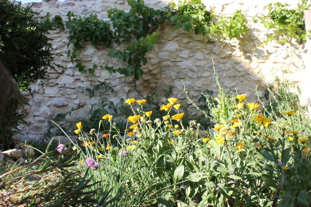 La Montagute Thezan-des-Corbieres Exterior foto
